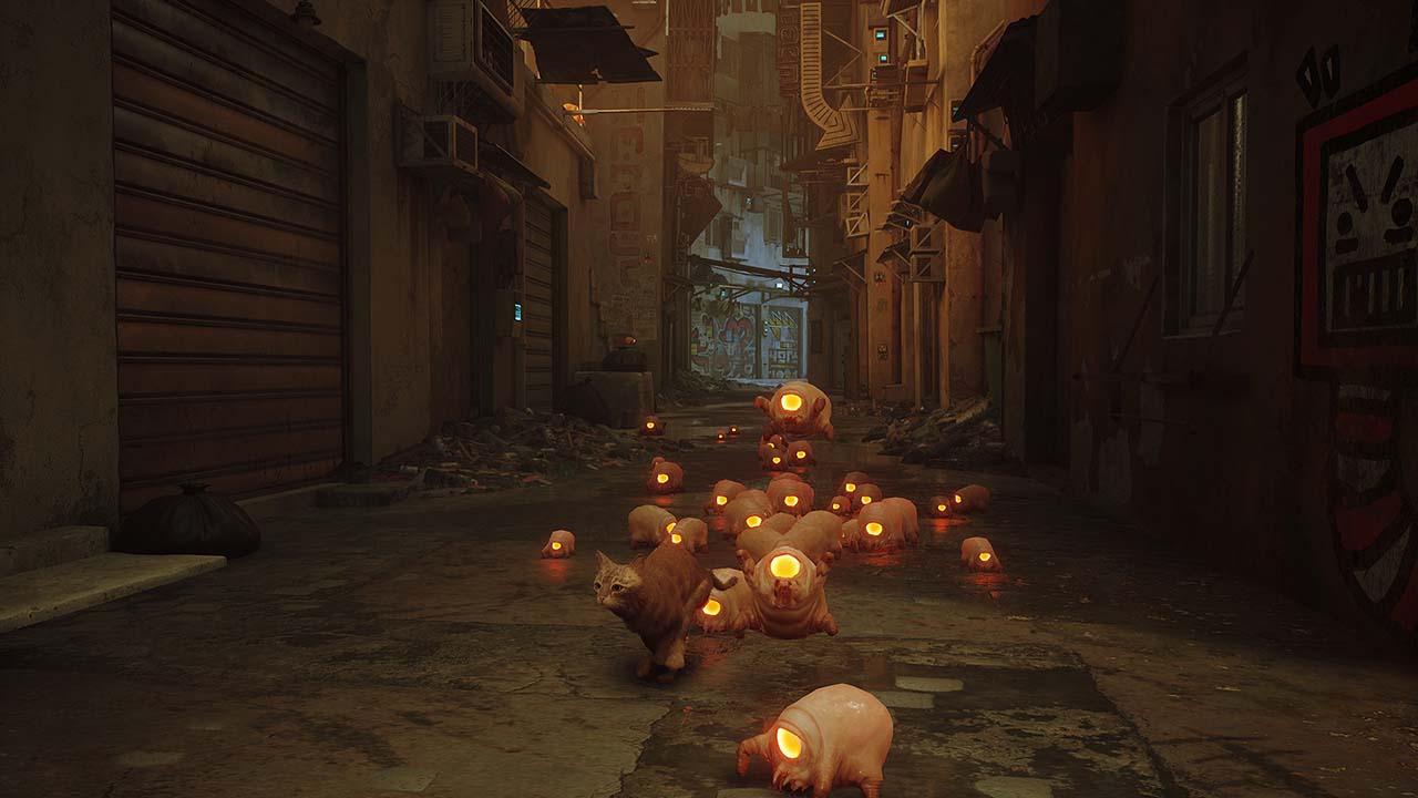 Stray Gameplay Image - Torrentpcgames.com