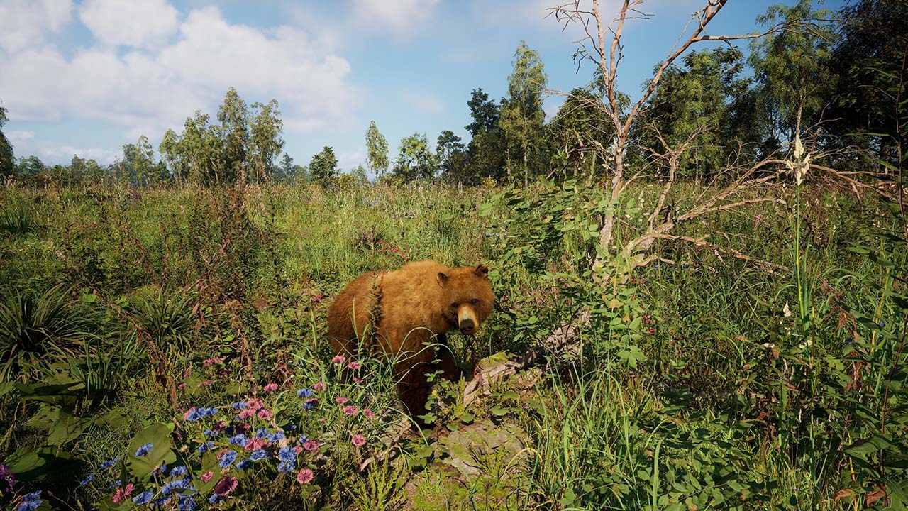 Russian Soul Simulator Gameplay Image - Torrentpcgames.com