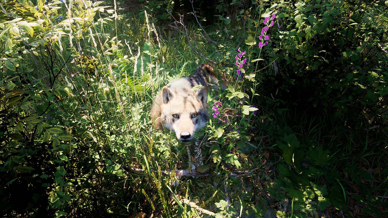 Russian Soul Simulator Gameplay Image - Torrentpcgames.com