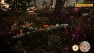 Morels-The-Hunt-2-Gameplay-Image-2 Morels The Hunt 2 Gameplay Image - Torrentpcgames.com